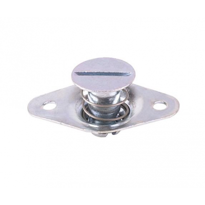 DZUS POUR EP 9 à 11,5MM L:21 mm