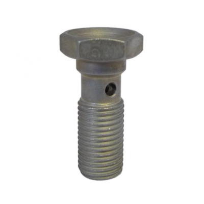 Vis banjo acier longue 10x100 GOODRIDGE 992-03-31LP